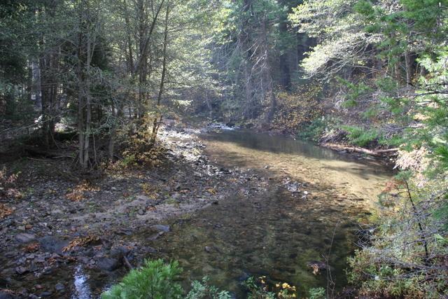 River bend and gravel bar on the claim